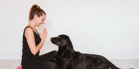 The London dog yoga trend has finally landed in Dublin
