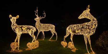 Wonderlights is the festive event you cannot miss this winter