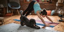 Dog yoga has landed in Dublin- but what exactly is it?
