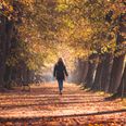 Dr. Alex George on how walking can help your mental health
