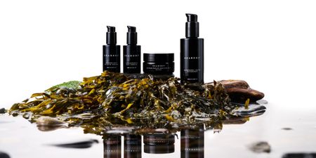 Seabody skincare: Unlocking the superpowers of Irish seaweed