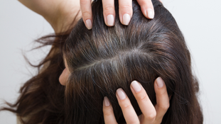 Is it really bad to pull out your grey hair? Expert settles the debate