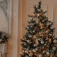 Experts have figured out the best date to put up your Christmas tree