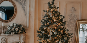 Experts have figured out the best date to put up your Christmas tree