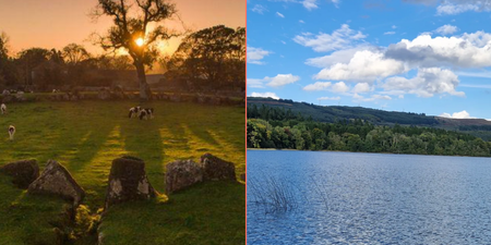 Five beautiful walks to take your dog on this New Year’s Day