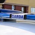 Woman in critical condition after being hit by van in Dublin