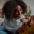 Puppy Love: Most women would choose their dog over a man