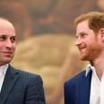Prince William and Prince Harry reunite in honour of Diana