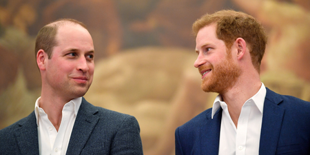 Prince William and Prince Harr reunite in honour of Diana