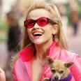 What we know about the Legally Blonde TV series