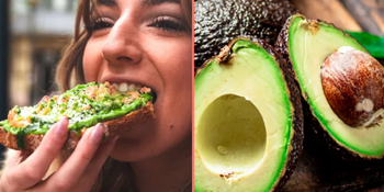 People only just realising avocados might not actually be vegan