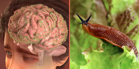 Terrifying simulation reveals what happened to teenager who ate slug after being dared by his friends