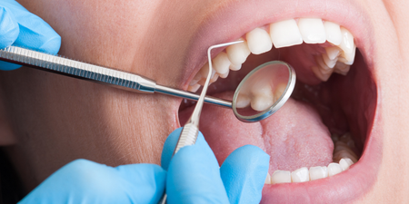 Lab-grown teeth could become an alternative for fillings in humans