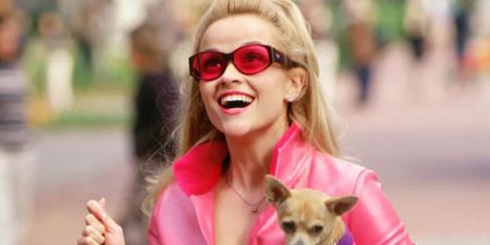 Legally Blonde musical announces UK and Ireland tour dates