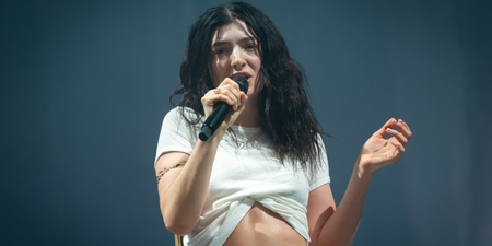 Lorde fans left stunned as singer includes NSFW picture in new album vinyl