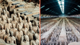 Archaeologists are too afraid to open up the tomb of China’s first Emperor