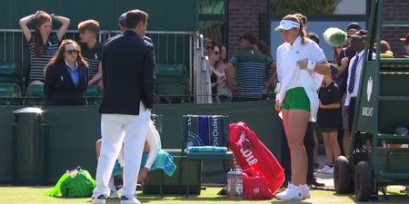 Viewers left shocked as Wimbledon star lifted up her skirt to show umpire