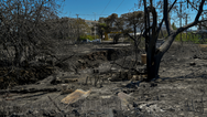 Tourists put on high alert as wildfires cause evacuations in major European capital