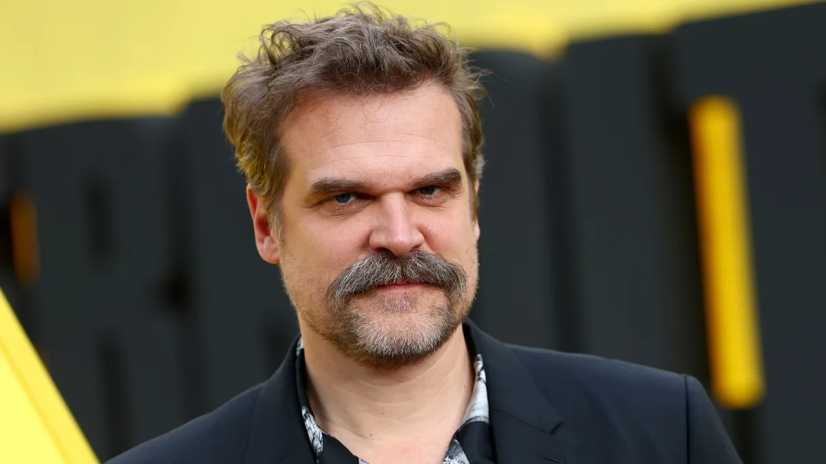 David Harbour says he 'fell in love' with Stranger Things co-star on set -  Her.ie