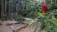 I'm a Celebrity is actually filmed in a 'fake' jungle with a roof over it
